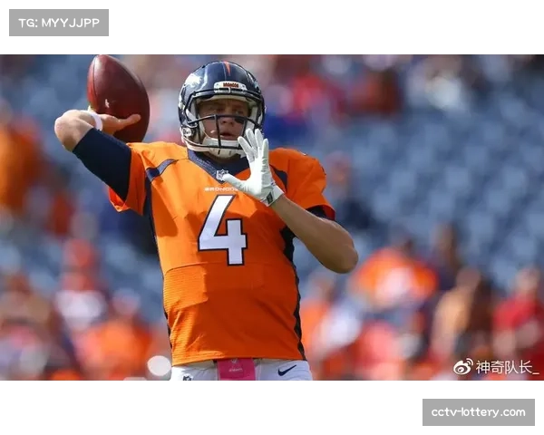 丹佛有望连续第三年举办NHL室外赛,具体场馆待定